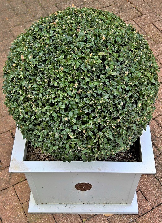 Houten bloembak